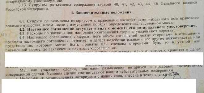 Как проверить брачный договор на действительность