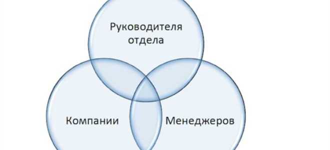 Что является ценностью для заказчика