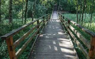 Как приватизировать лесопарковую зону в москве