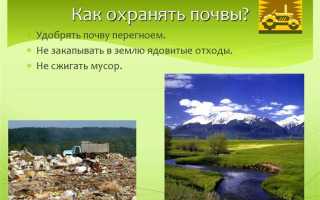 Что могут делать общественные организации и граждане для охраны природы