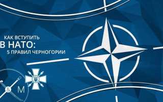 Статья 5 нато о чем