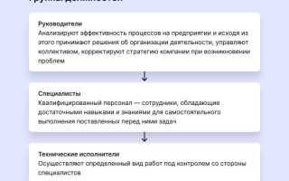 Какие бывают должности в компании