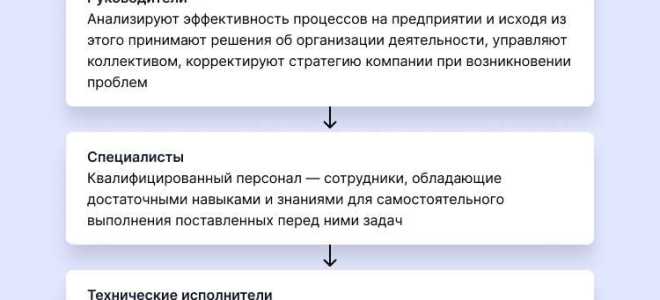 Какие бывают должности в компании