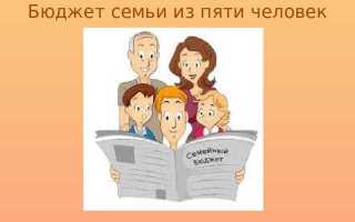 Какую долю в бюджете вашей семьи составляют социальные пособия