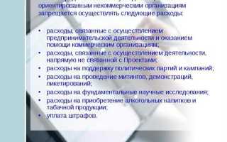 Социально ориентированным некоммерческим организациям кто относится