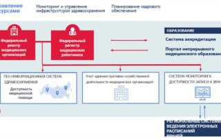 Тип медицинского изделия в егисз что такое
