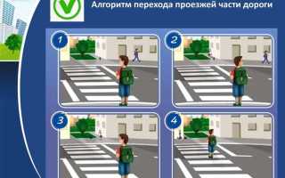 Сколько ошибок допускается при сдаче пдд в гаи