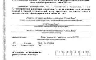 Свидетельство огрн не выдается с какого года
