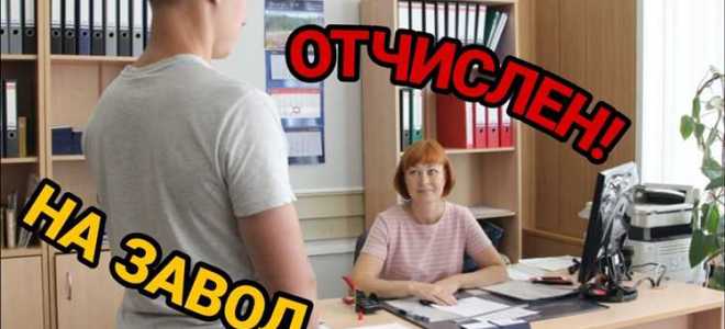 После регистрации одс что делать дальше