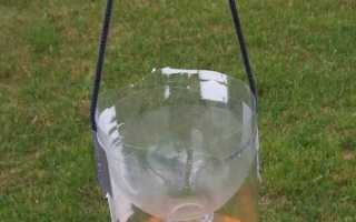 У соседей пчелы что делать по закону