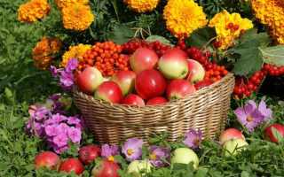 Расчетный месяц это какой период по закону