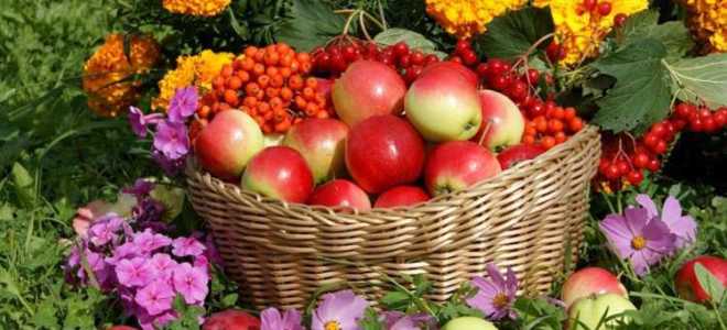 Расчетный месяц это какой период по закону