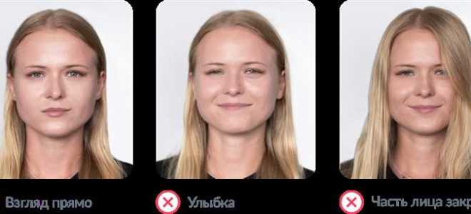 Сколько фотографий нужно на паспорт рф