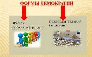 Что представляет собой политический режим