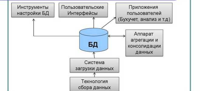 Кто обеспечивает обслуживание единой информационной системы