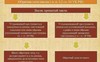 Какой уголовный закон имеет обратную силу