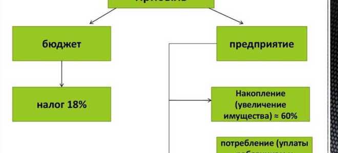 Непропорциональное распределение прибыли в ооо как прописать в уставе