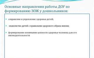 В чем заключается организация охраны здоровья