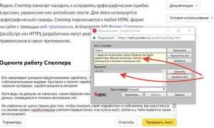 Что такое орфографические ошибки в русском