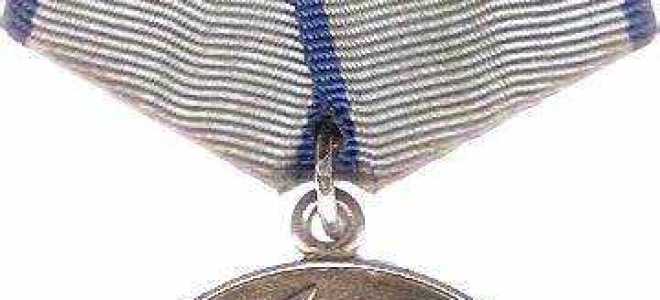 За что дают медаль за отвагу