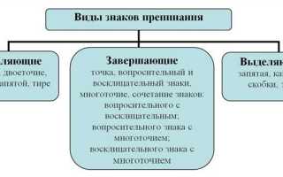 Пункт и подпункт в чем разница