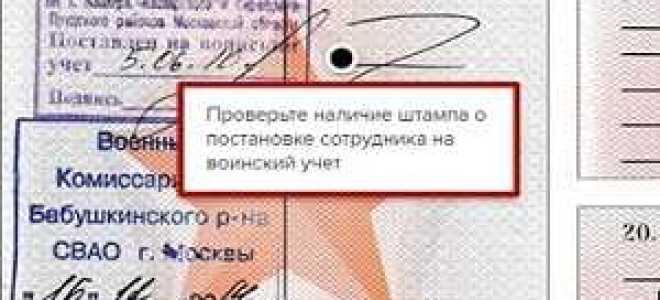 На какой срок можно заключить договор