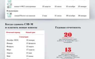 Какие отчеты сдавать в пфр