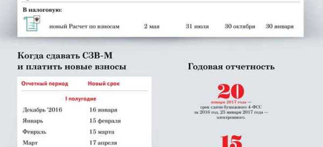 Какие отчеты сдавать в пфр