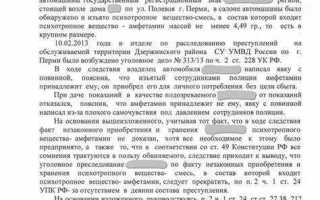 Истечение сроков давности уголовного преследования как основание прекращения уголовного дела