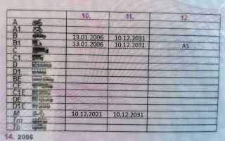 Категория l водительских прав что