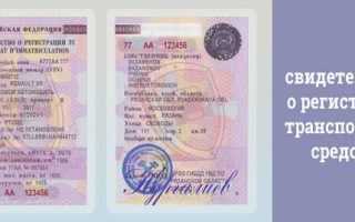 Свидетельство о регистрации транспортного средства как выглядит