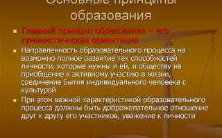 Сколько существует основных принципов образования