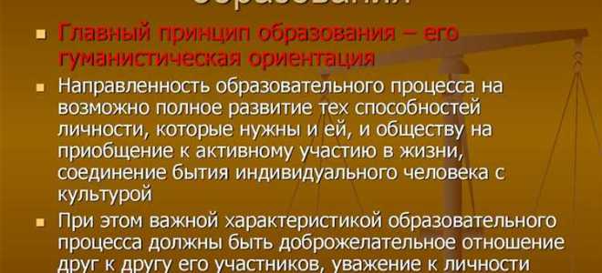 Сколько существует основных принципов образования