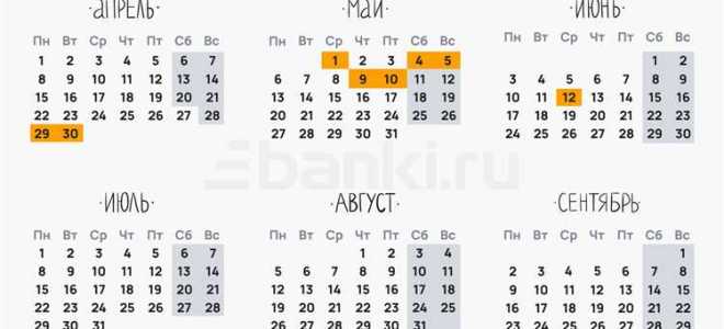 Сколько отпускных дней в году