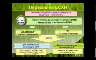 Есн что это за налог