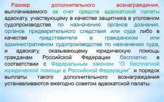 Как общественный институт адвокатура представляется собой