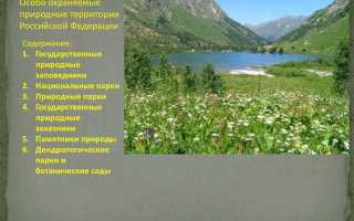 Что такое особо охраняемые природные территории