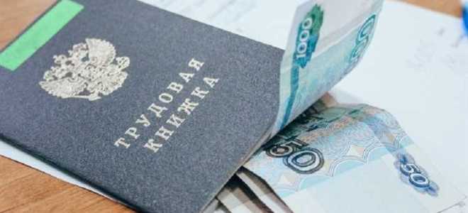 26 недель это сколько месяцев по безработице