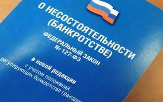 Что такое фз 127 или фз 289