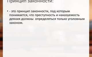 Какие принципы положены в основу применения уголовного закона