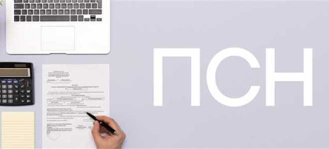 Сколько надо платить за патент