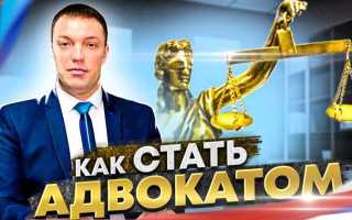 Как стать адвокатом в сша