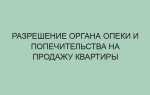 Как получить разрешение на продажу квартиры в органах опеки хитрости