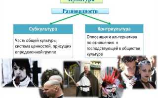 Что относится к учреждениям культуры