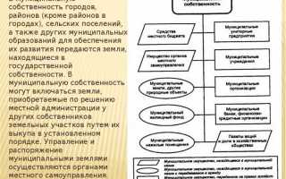 Что входит в муниципальную собственность