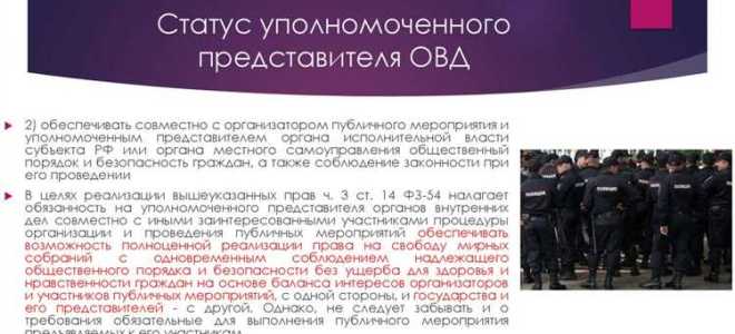 Какие бывают уполномоченные по правам