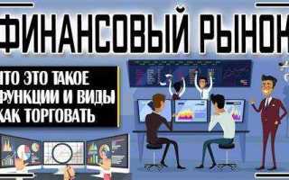 Финансовый год это какой период