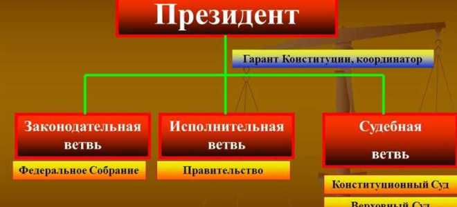 Председатель правительства какая ветвь власти