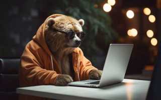 Справка о том что самозанятый