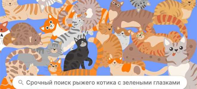 Биометрические данные что к ним относится